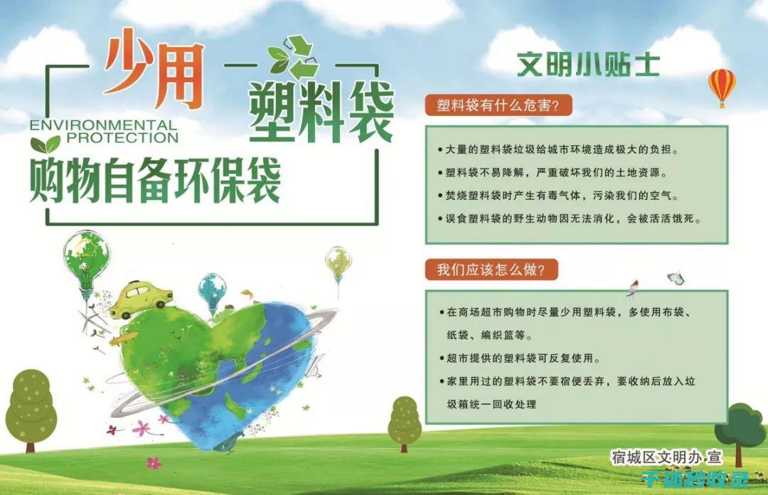 减少塑料使用：用智慧应对全球挑战 (减少塑料使用的措施)