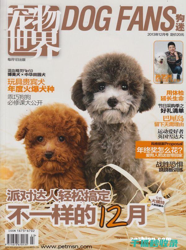 新手必读