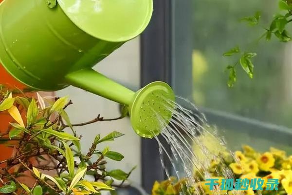 花卉施肥时机与不同肥料的特性比较