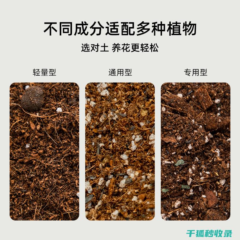 盆栽土壤配比秘籍：打造植物健康成长的沃土 (盆栽土壤配比标准)