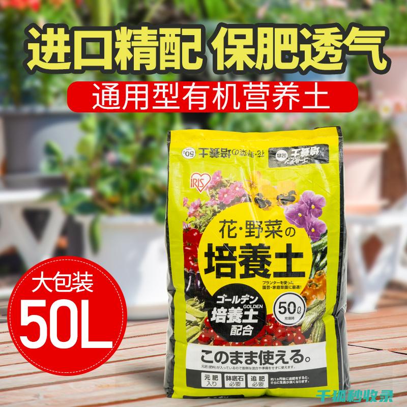 打造植物健康成长的沃土