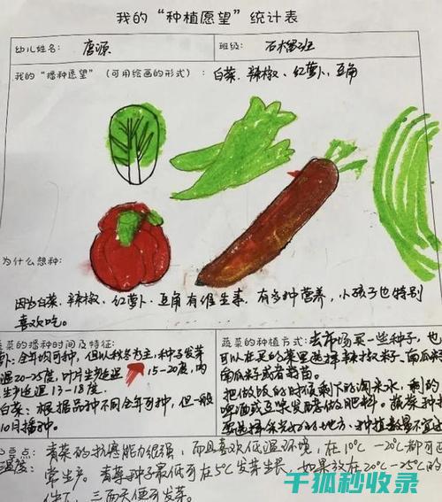 标准