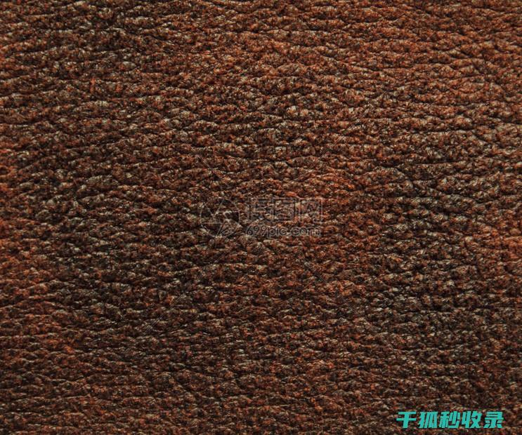 皮革保养全指南：涵盖所有你需要知道的细节 (皮革保养油是什么油)