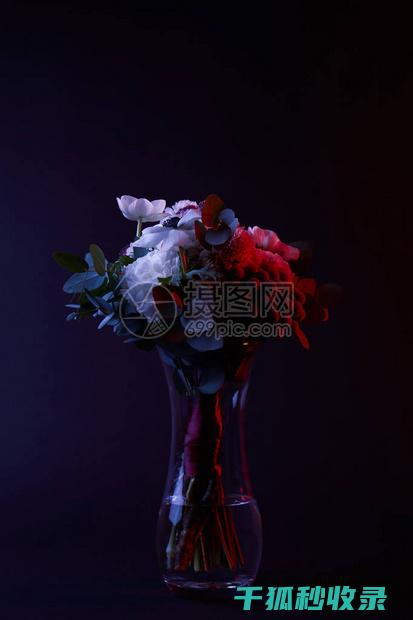 不同材质图片