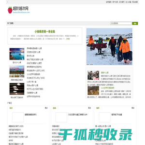 超阶越次网