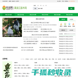 黑龙江苗木