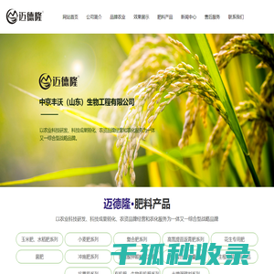 中京丰沃（山东）生物工程有限公司,菌肥,冲施肥系列,花生专用肥,高氮提苗返青肥
