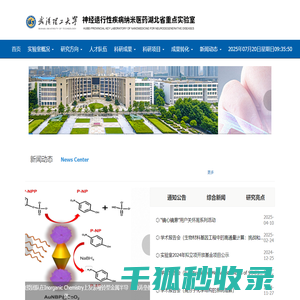 神经退行性疾病纳米医药湖北省重点实验室